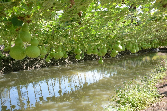 Tham quan Thủy Hoa Viên – Tây Ninh