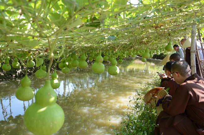 Tham quan Thủy Hoa Viên – Tây Ninh