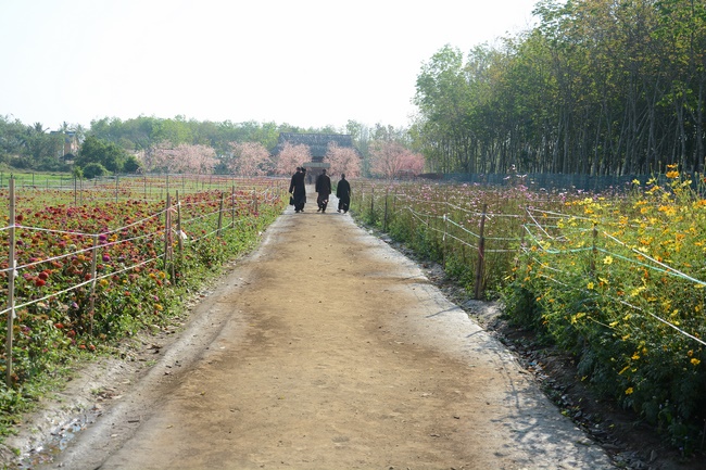 Tham quan Thủy Hoa Viên – Tây Ninh