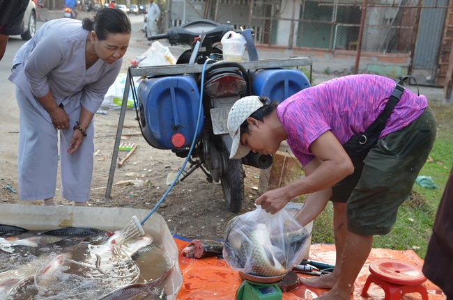Chanting requiem and releasing creatures in Cu Chi - Long An