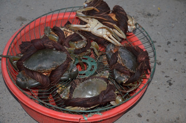 Chanting requiem and releasing creatures in Cu Chi - Long An