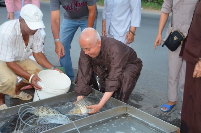 Chanting requiem and releasing creatures in Cu Chi - Long An