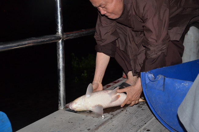 Chanting requiem and releasing creatures in Cu Chi - Long An