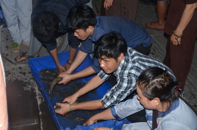 Chanting requiem and releasing creatures in Cu Chi - Long An