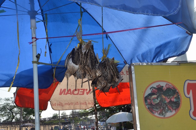 Chanting requiem and releasing creatures in Cu Chi - Long An