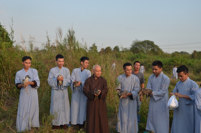 Chanting requiem and releasing creatures in Cu Chi - Long An