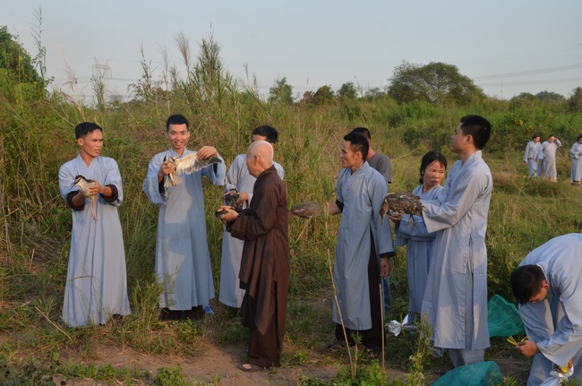 Chanting requiem and releasing creatures in Cu Chi - Long An