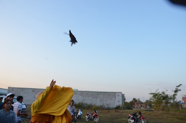 Chanting requiem and releasing creatures in Cu Chi - Long An