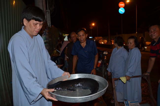 Chanting requiem and releasing creatures in Cu Chi - Long An