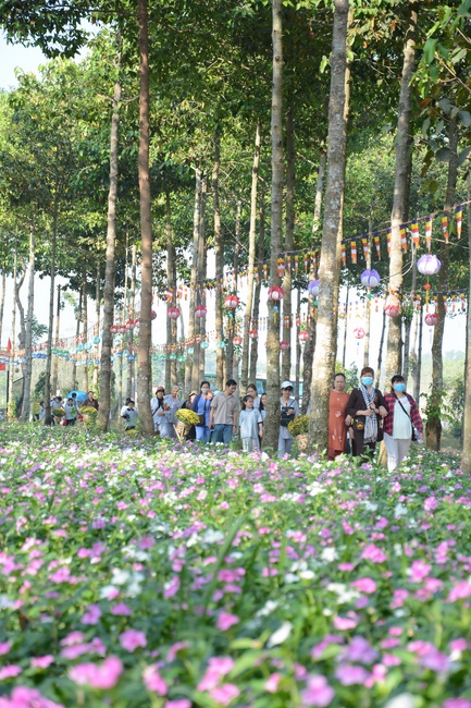 Quý thầy và các phái đoàn Phật tử chúc tết Thượng tọa Thích Chân Tính từ ngày 11-15 tết