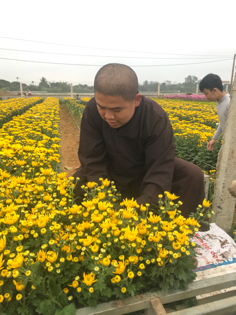 Không khí chuẩn bị Tết Kỷ Hợi tại chùa Đống Cao – Thanh Hóa