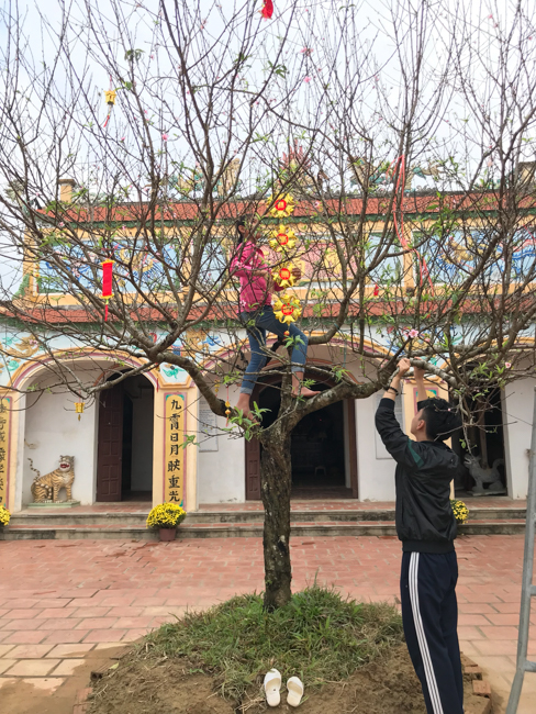 Không khí chuẩn bị Tết Kỷ Hợi tại chùa Đống Cao – Thanh Hóa