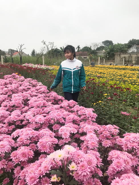 Không khí chuẩn bị Tết Kỷ Hợi tại chùa Đống Cao – Thanh Hóa