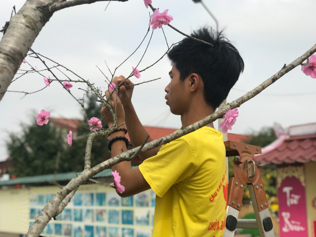 Không khí chuẩn bị Tết Kỷ Hợi tại chùa Đống Cao – Thanh Hóa