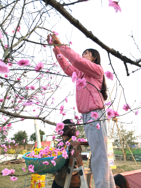 Không khí chuẩn bị Tết Kỷ Hợi tại chùa Đống Cao – Thanh Hóa