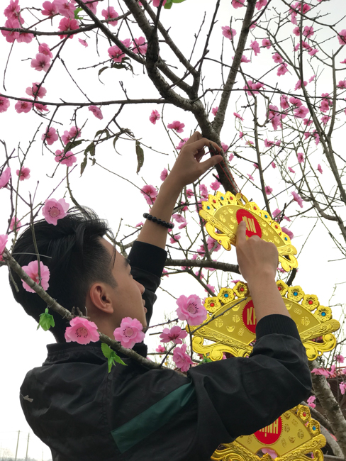 Không khí chuẩn bị Tết Kỷ Hợi tại chùa Đống Cao – Thanh Hóa