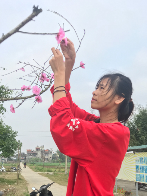 Không khí chuẩn bị Tết Kỷ Hợi tại chùa Đống Cao – Thanh Hóa