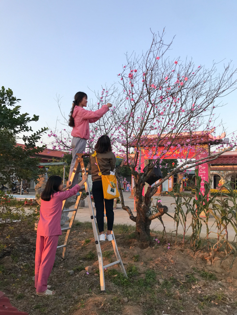 Không khí chuẩn bị Tết Kỷ Hợi tại chùa Đống Cao – Thanh Hóa