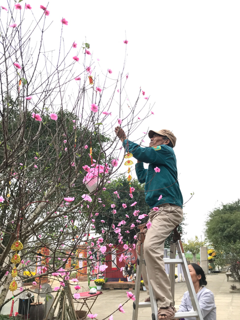 Không khí chuẩn bị Tết Kỷ Hợi tại chùa Đống Cao – Thanh Hóa