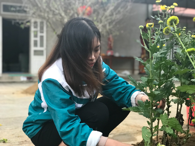 Không khí chuẩn bị Tết Kỷ Hợi tại chùa Đống Cao – Thanh Hóa