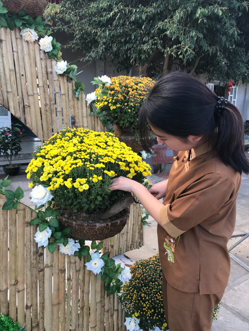 Không khí chuẩn bị Tết Kỷ Hợi tại chùa Đống Cao – Thanh Hóa