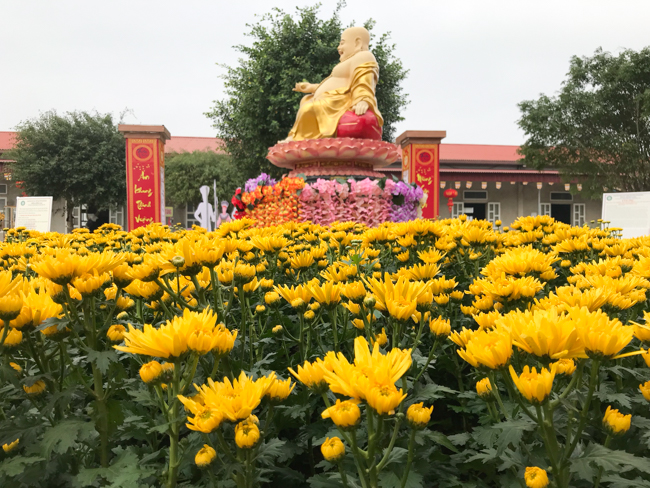 Không khí chuẩn bị Tết Kỷ Hợi tại chùa Đống Cao – Thanh Hóa