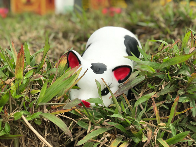 Không khí chuẩn bị Tết Kỷ Hợi tại chùa Đống Cao – Thanh Hóa