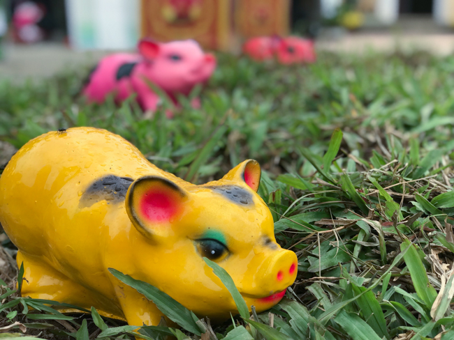 Không khí chuẩn bị Tết Kỷ Hợi tại chùa Đống Cao – Thanh Hóa