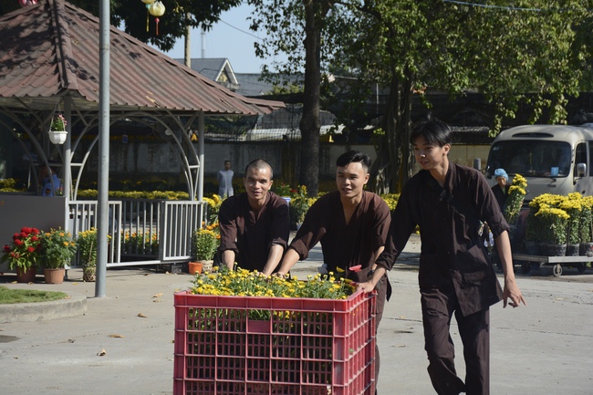 Series photos of activities preparing for the New Year 2019