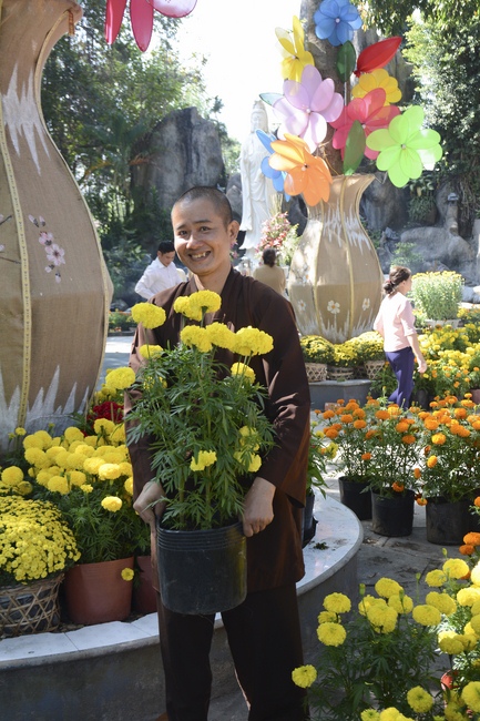 Series photos of activities preparing for the New Year 2019