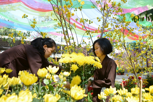 Series photos of activities preparing for the New Year 2019