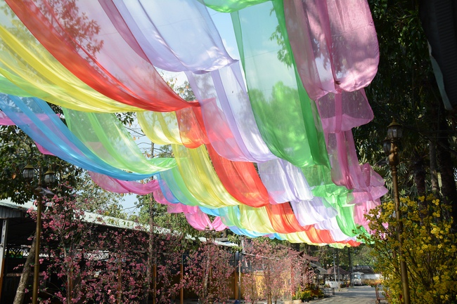 Series photos of activities preparing for the New Year 2019