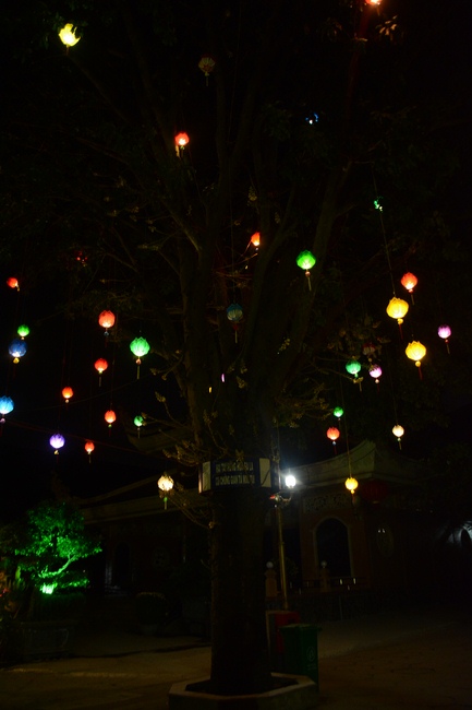 Series photos of activities preparing for the New Year 2019