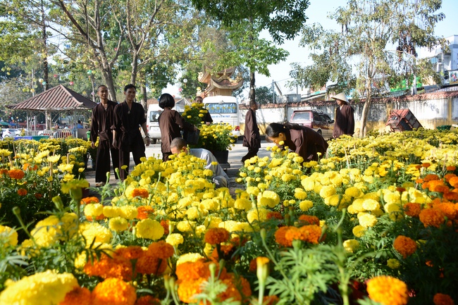 Series photos of activities preparing for the New Year 2019