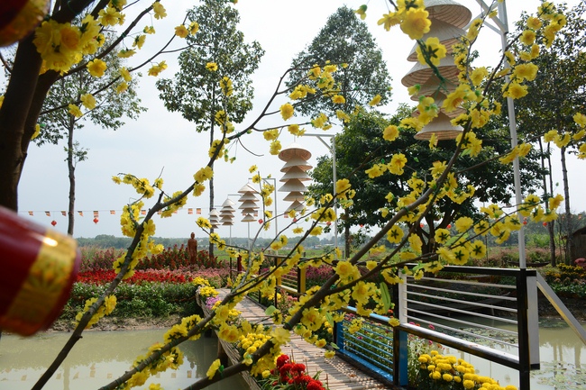 Hương Pháp, Củ Chi chuẩn bị đón xuân