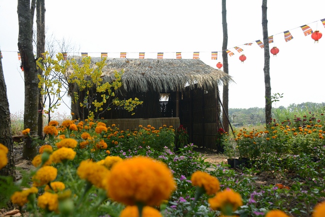 Hương Pháp, Củ Chi chuẩn bị đón xuân