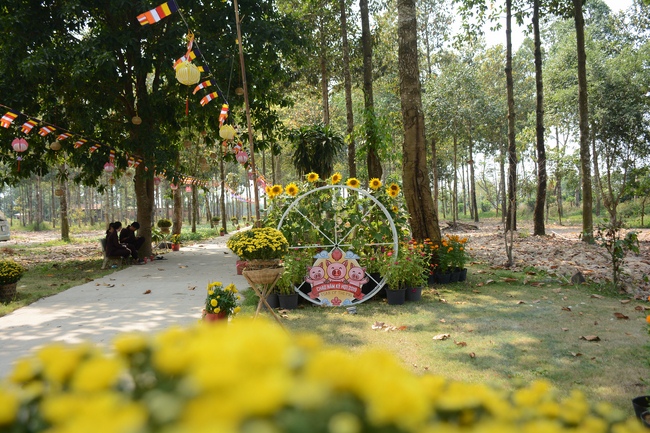 Hương Pháp, Củ Chi chuẩn bị đón xuân