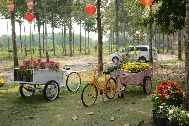 Hương Pháp, Củ Chi chuẩn bị đón xuân