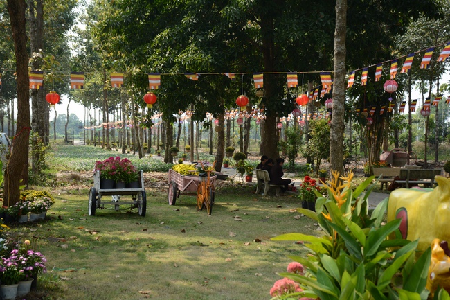 Hương Pháp, Củ Chi chuẩn bị đón xuân