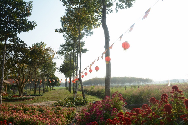 Hương Pháp, Củ Chi chuẩn bị đón xuân