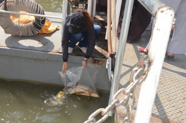 Attending the Final Year Ceremony of the Buddhist Intermediate Institute, Creature Release in Can Tho City.