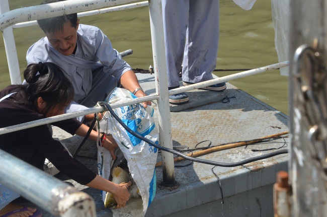 Attending the Final Year Ceremony of the Buddhist Intermediate Institute, Creature Release in Can Tho City.