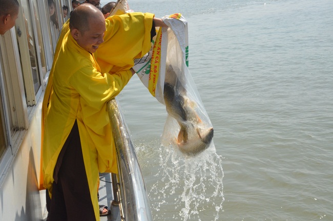 Attending the Final Year Ceremony of the Buddhist Intermediate Institute, Creature Release in Can Tho City.
