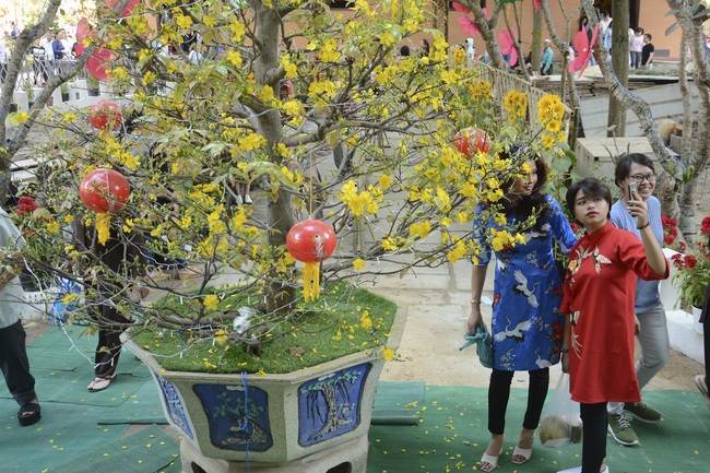 Series of photos on the 2nd  day of Tet Holiday