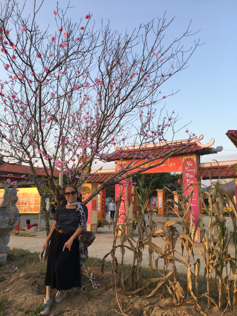 New Year's Eve and the first days of the year at Dong Cao Pagoda - Thanh Hoa