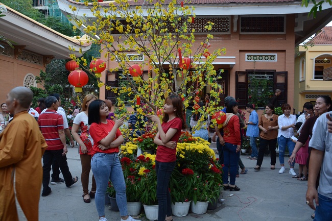 Series of photos on the 3rd day of Tet Holiday