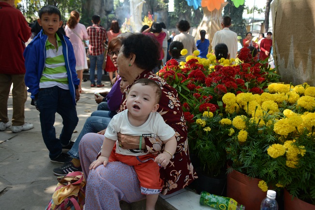 Series of photos on the 3rd day of Tet Holiday