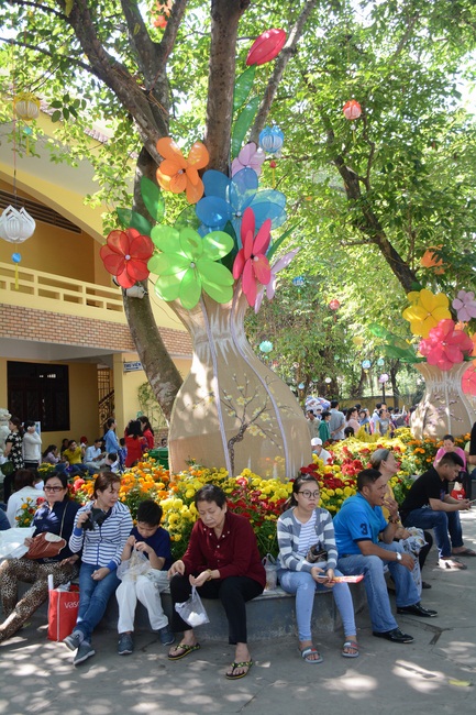 Series of photos on the 3rd day of Tet Holiday