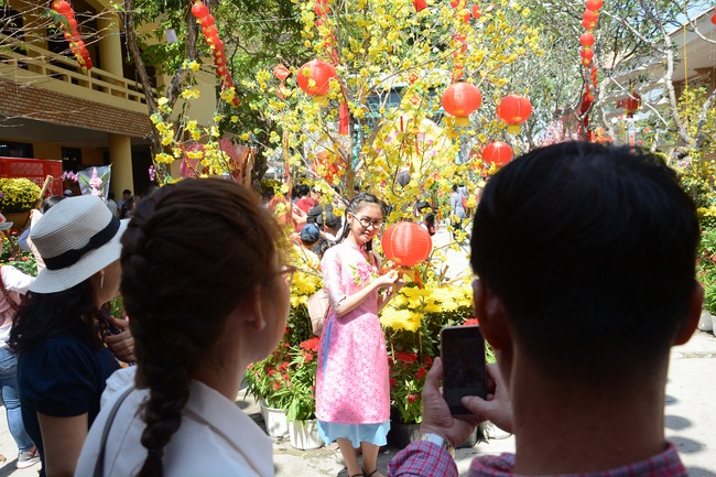 Series of photos on the 3rd day of Tet Holiday