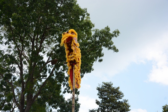 Series of photos on the 3rd day of Tet Holiday